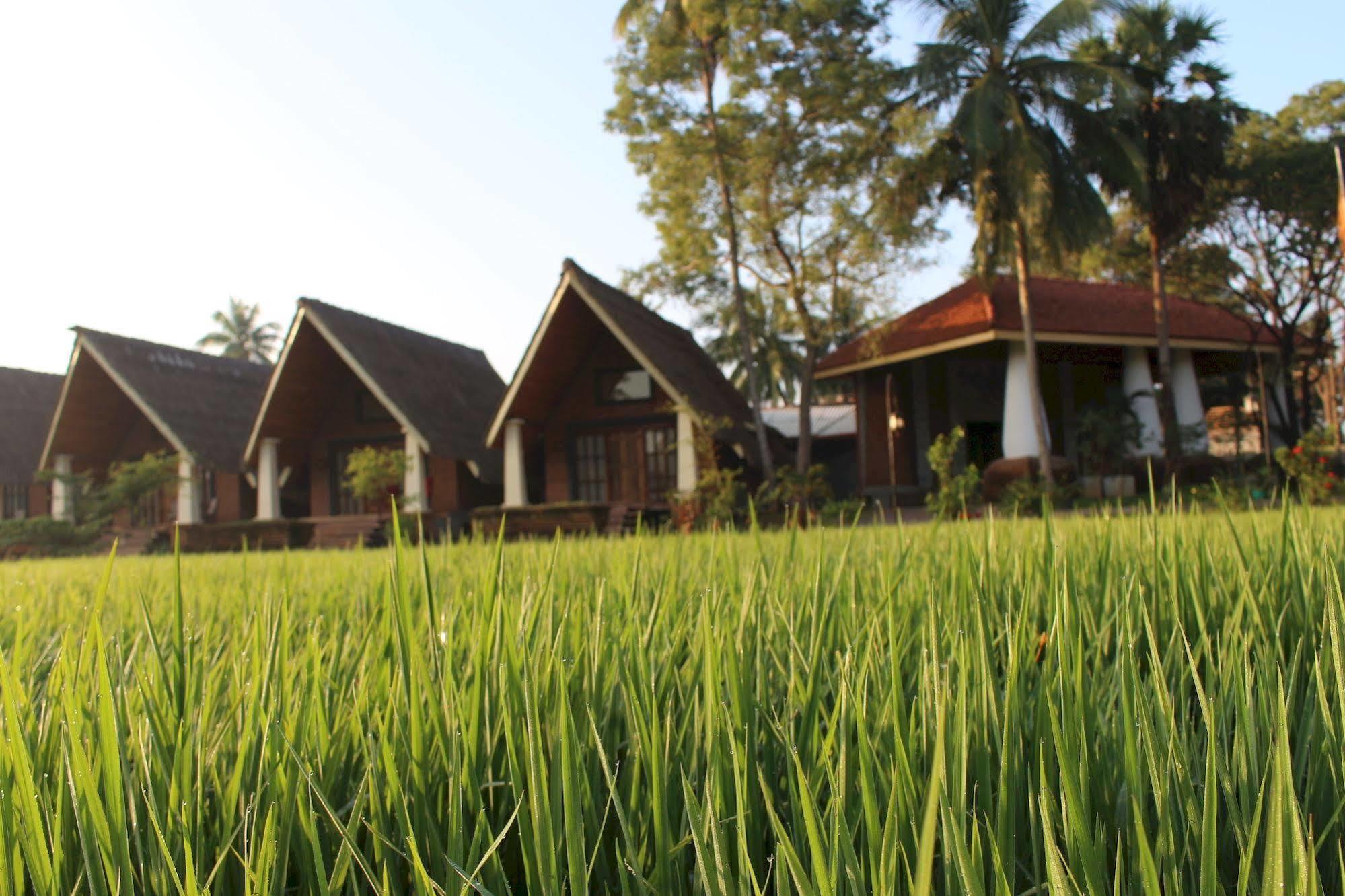 Avasta Resort And Spa Anuradhapura Dış mekan fotoğraf
