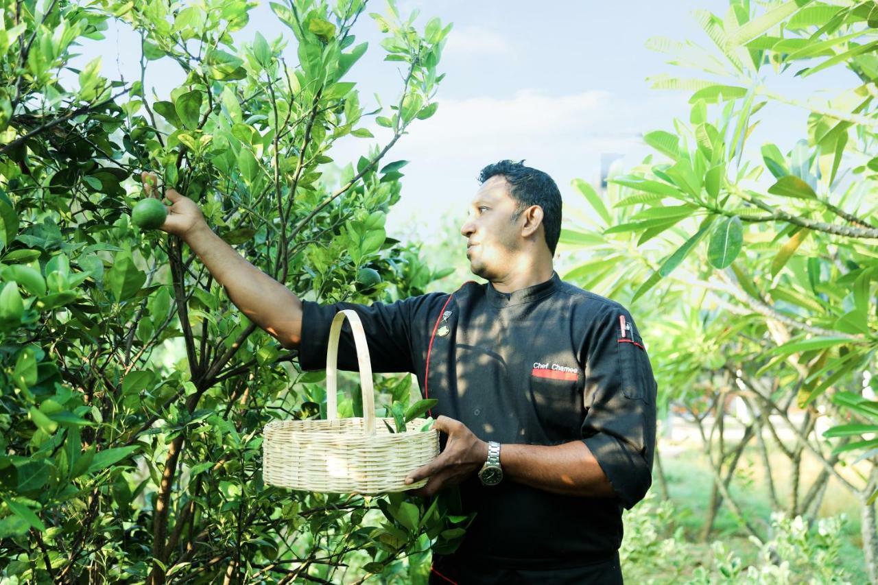 Avasta Resort And Spa Anuradhapura Dış mekan fotoğraf