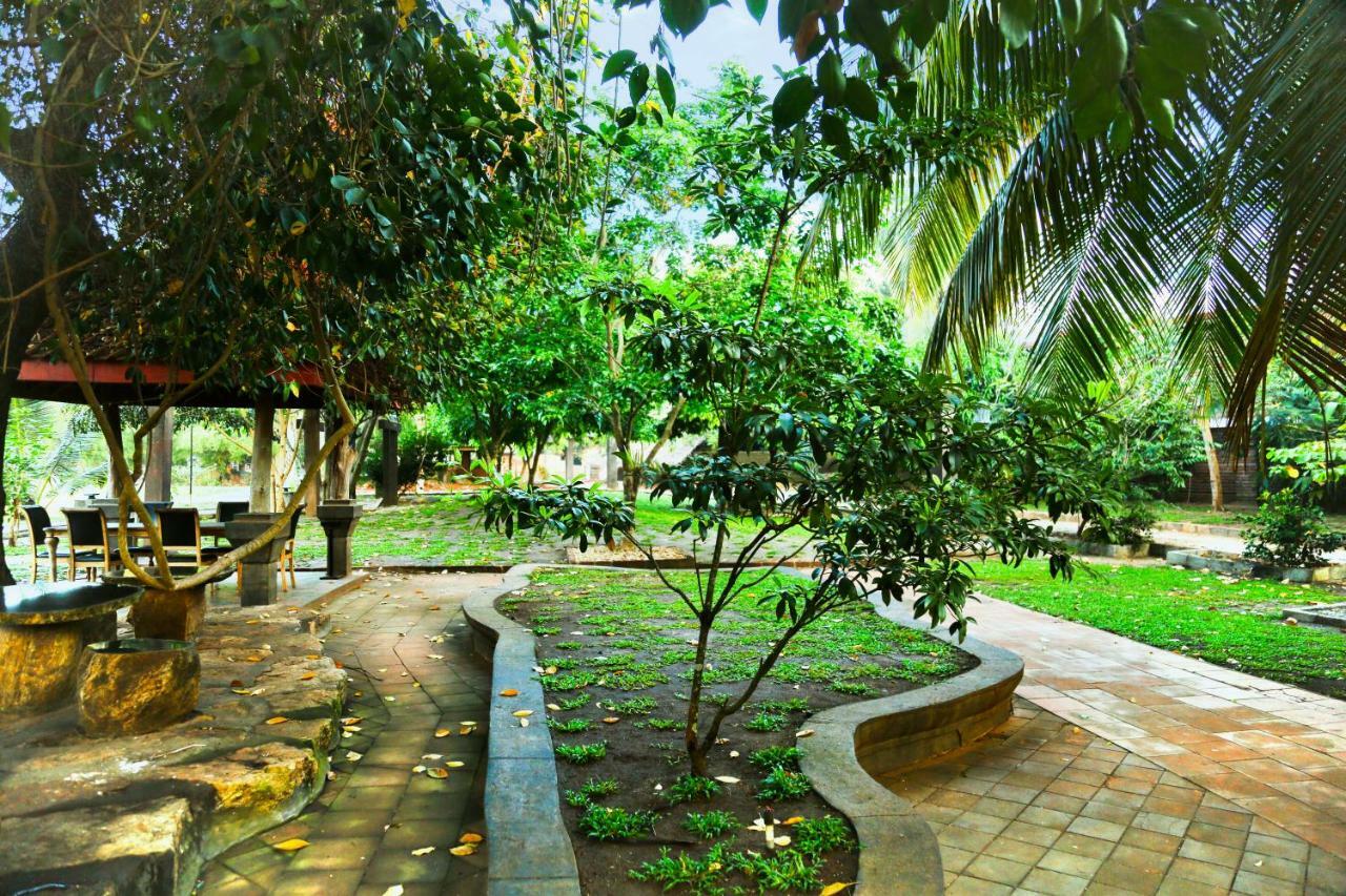 Avasta Resort And Spa Anuradhapura Dış mekan fotoğraf