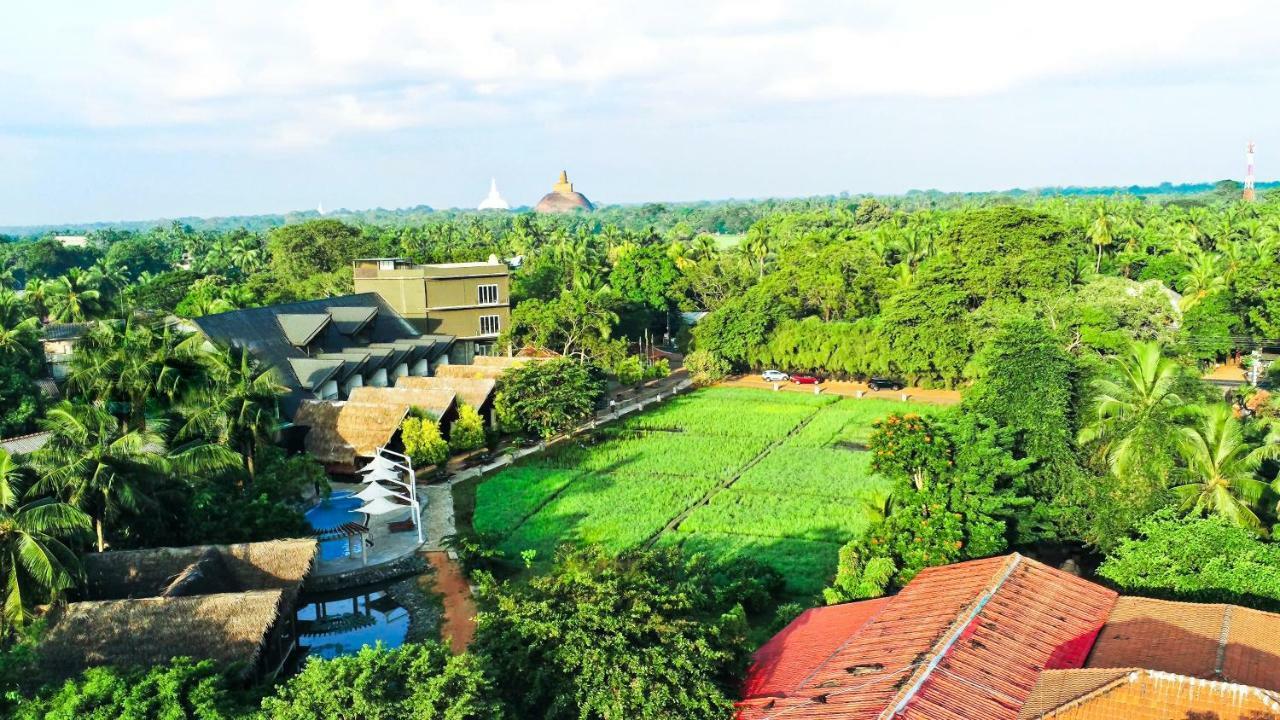 Avasta Resort And Spa Anuradhapura Dış mekan fotoğraf